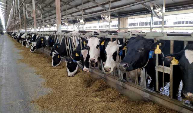 微信圖片_20210413133727.jpg 微信圖片_20210413133727.jpg